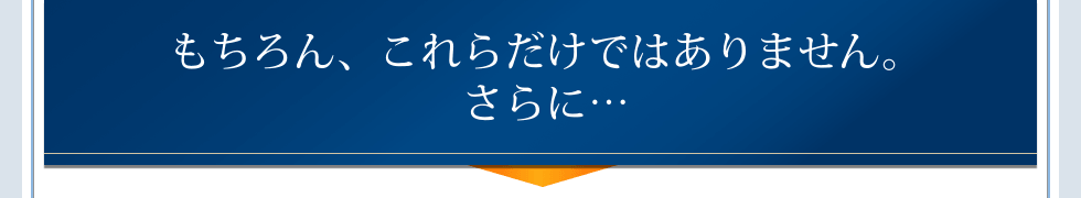 もちろん、これらだけではありません。さらに